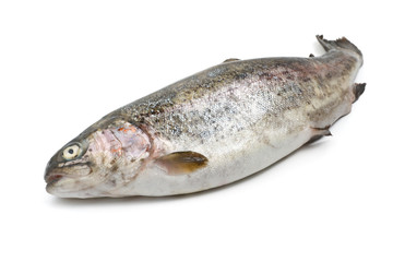 trota iridea - fresh rainbow trout