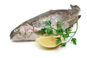 trota iridea - rainbow trout with lemon