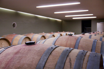 Wine barrels