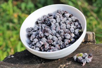 Frozen Bilberries in Bowl on Tree Stump