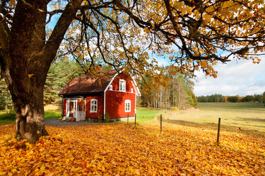Wohnhaus in Schweden im Herbst