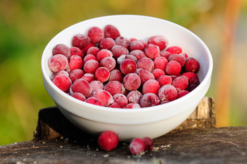 Frozen Cranberries in Bowl on Tree Stump