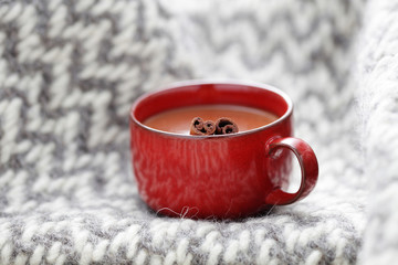 hot chocolate with cinnamon