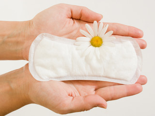 Panty liner and daisy flower on the female palms on a white