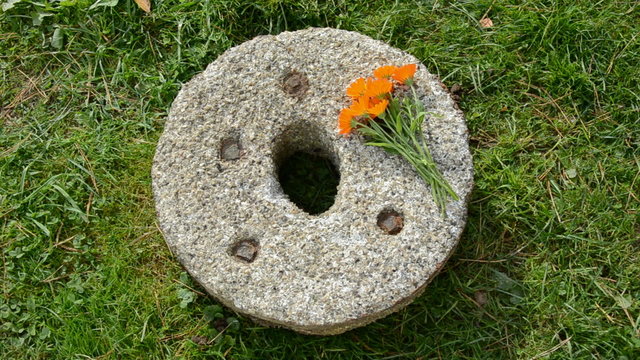 put calendula flowers bunch  on old millstone