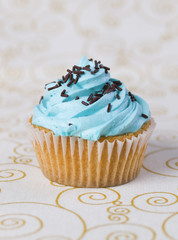 One blue cupcake on a  tablecloth 4