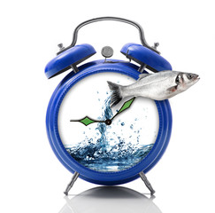 sveglia splash pesce