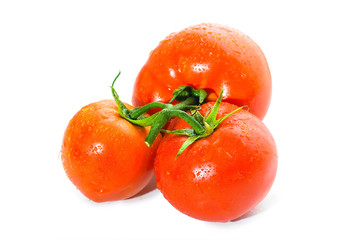 Tomatoes closeup