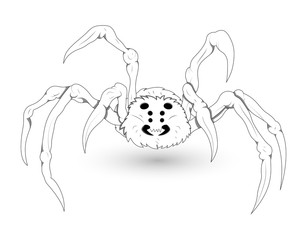 White Spider Illustration
