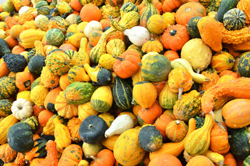 Pumpkins