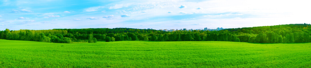 Summer Panorama with City in the Forest