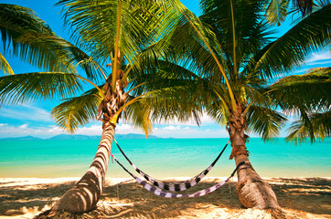 Hängematten unter Palmen an Tropischem Strand von  Koh Samui