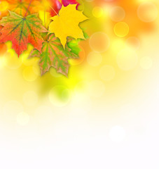 Herbstlicher Hintergrund 2
