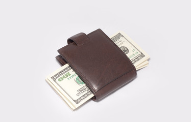 Wallet with money