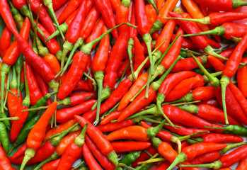Red chili peppers