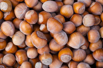 The heap of hazelnuts