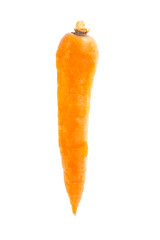 Carrot with water drops