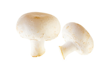 Mushrooms