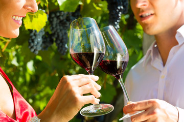 Frau und Mann am Weinberg trinken Wein