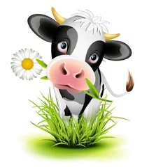 Crédence de cuisine en verre imprimé Ferme Vache Holstein dans l& 39 herbe