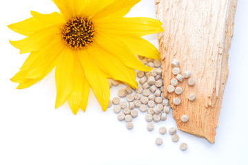 Biopolymer mit Holz und Blüte
