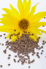 Biopolymer mit Bl&uuml;te