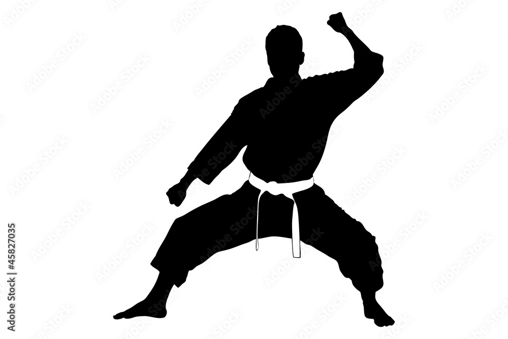 Wall mural A silhouette of a karate man