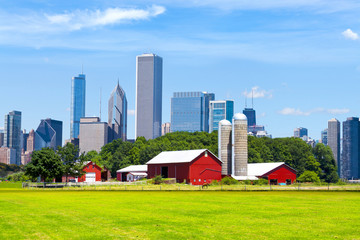 Fototapeta premium American Red Farm With Chicago Skyline in Background