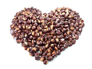 Chestnut Heart