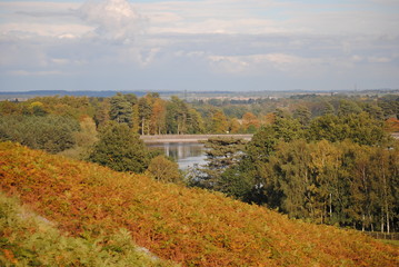 Fototapeta premium Colours of autumn III