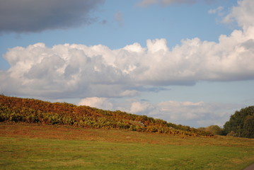 Obraz premium Colours of autumn II