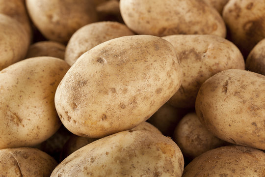 Fresh Organic Whole Potato