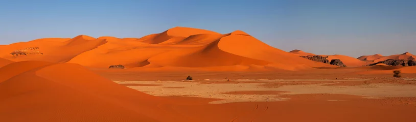 Abwaschbare Fototapete Panorama von Sanddünen, Wüste Sahara © sunsinger