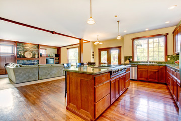 Luxury wood kitchen with living room with b