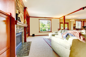 Yellow large luxury living room with fireplace and sofa.