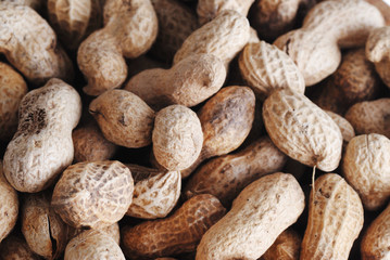 peanuts in shell