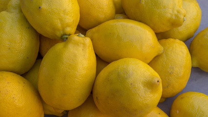 Limoni (Citrus x limon)