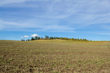 Fototapeta na wymiar Nice autumn field and blue sky