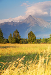 Fototapeta premium Symbol of Slovakia - Mount Krivan