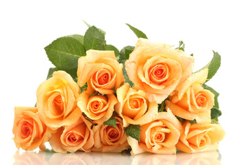 beautiful bouquet of roses isolated on white