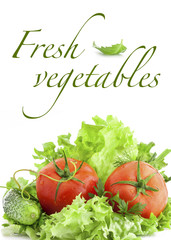 Set of fresh tomatoes with green leaf on white