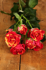 Beautiful red-yellow roses on wooden background close-up