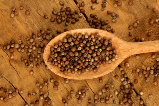 Heap coriander seeds in wooden spoon