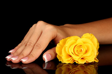 Yellow rose with woman's hand on black background