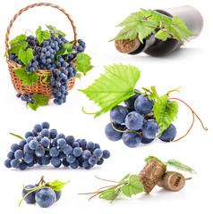 Collection of Dark grapes, bottle and cork, Isolated on white