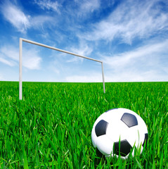soccer ball