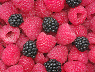 raspberry background