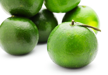 green citrus