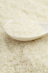white uncooked rice