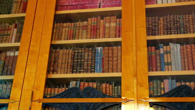 bookshelves with old books